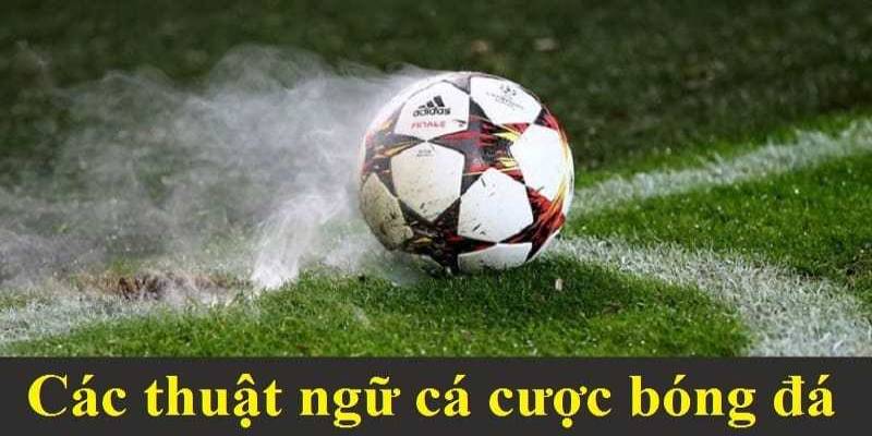 Tổng quan thông tin về các thuật ngữ trong cá độ bóng đá
